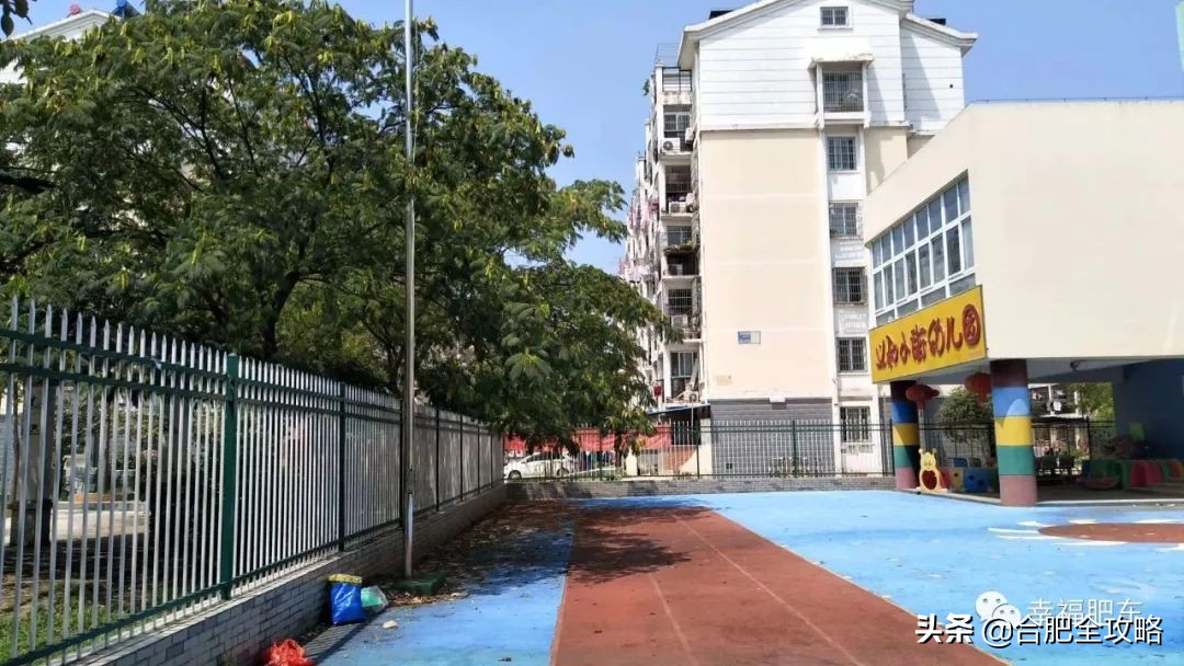 合肥市开学,合肥各校开学时间