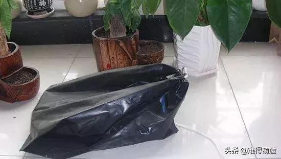 美国手捻葫芦值得盘吗,手捻葫芦已经盘了两年