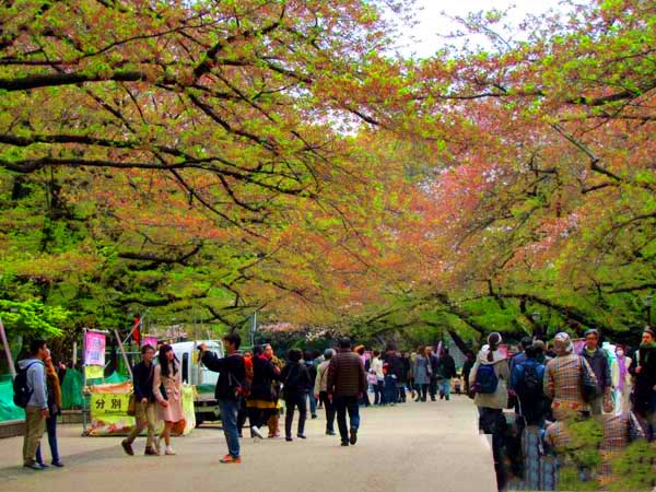 日本埼玉浦和,日本女团琦玉体育馆