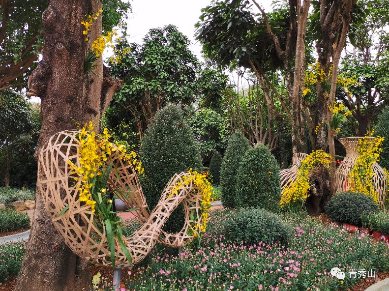 自拍达人全景,南宁自拍拍照博主