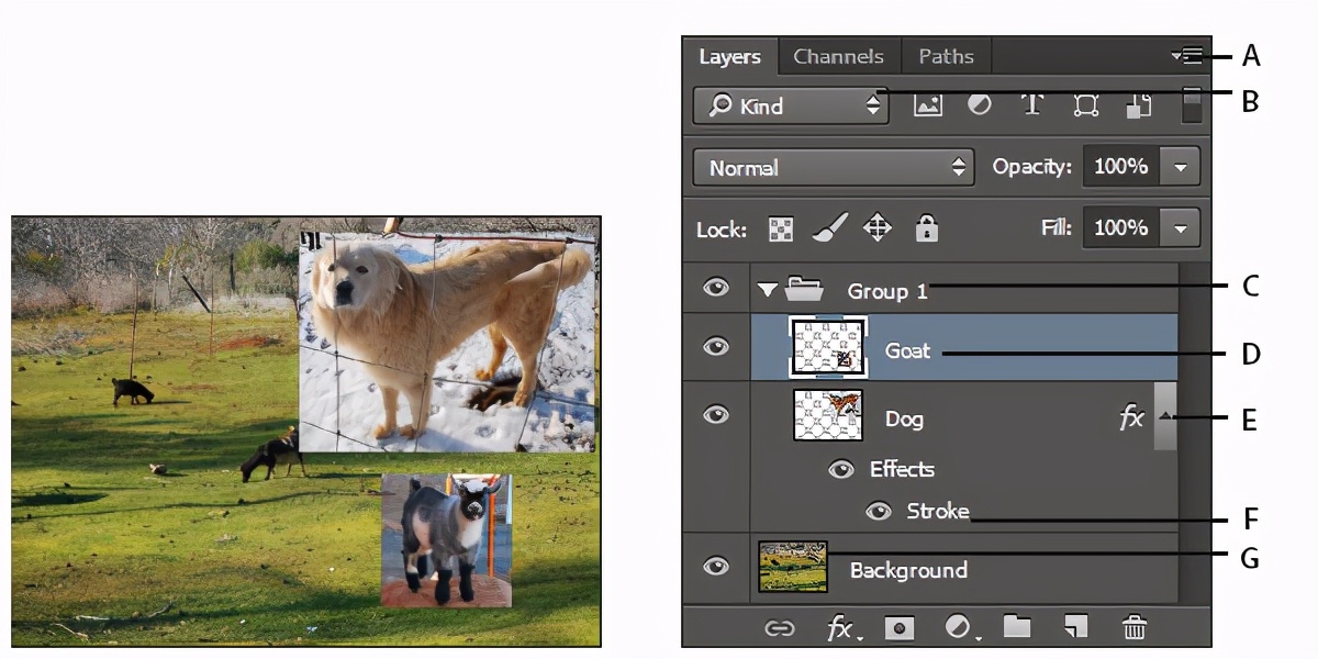 adobephotoshop图层面板,adobephotoshop2022
