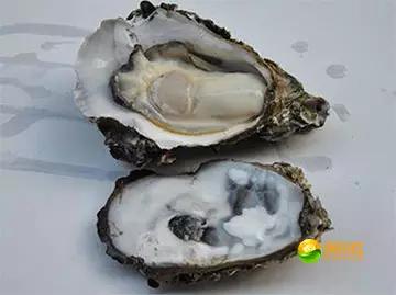 舟山海鲜攻略2天3晚吃什么,舟山海鲜代加工攻略