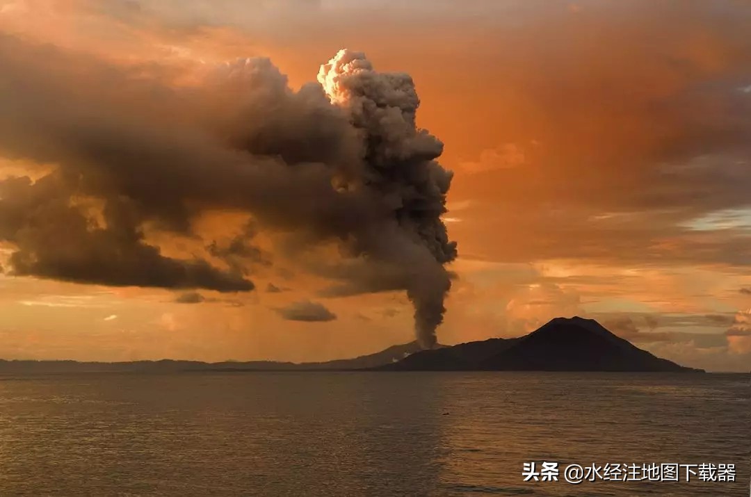 地球上这么多的水都去哪里了,地球上的植物从哪里来
