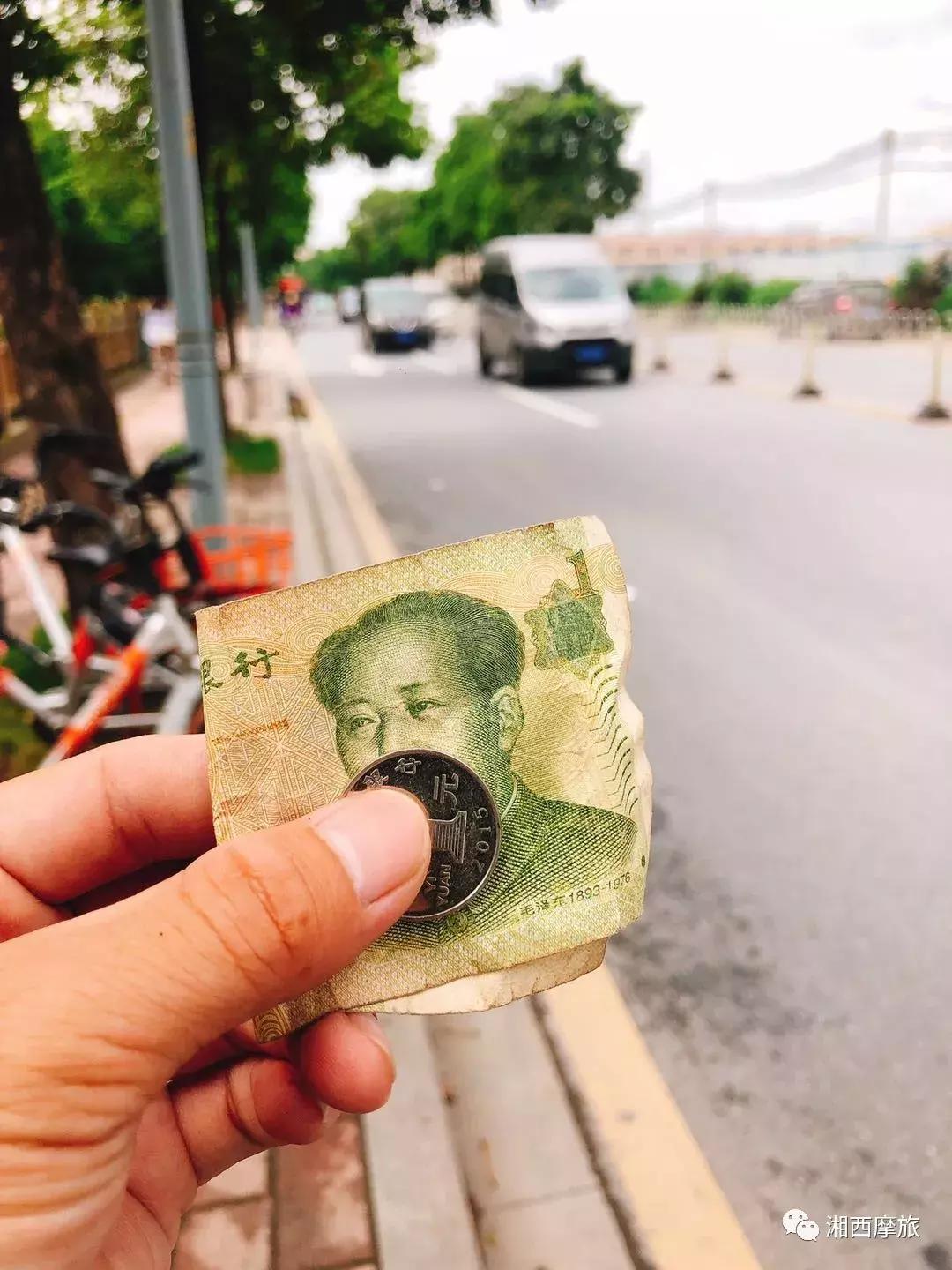 骑行大西北第十八天,麦田骑行第七十二天