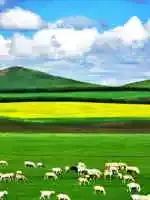 四川成都特产送人一览表,各地特产礼品一览表