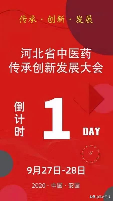 聚力赋能创新突破,聚力科技创新赋能提质增效