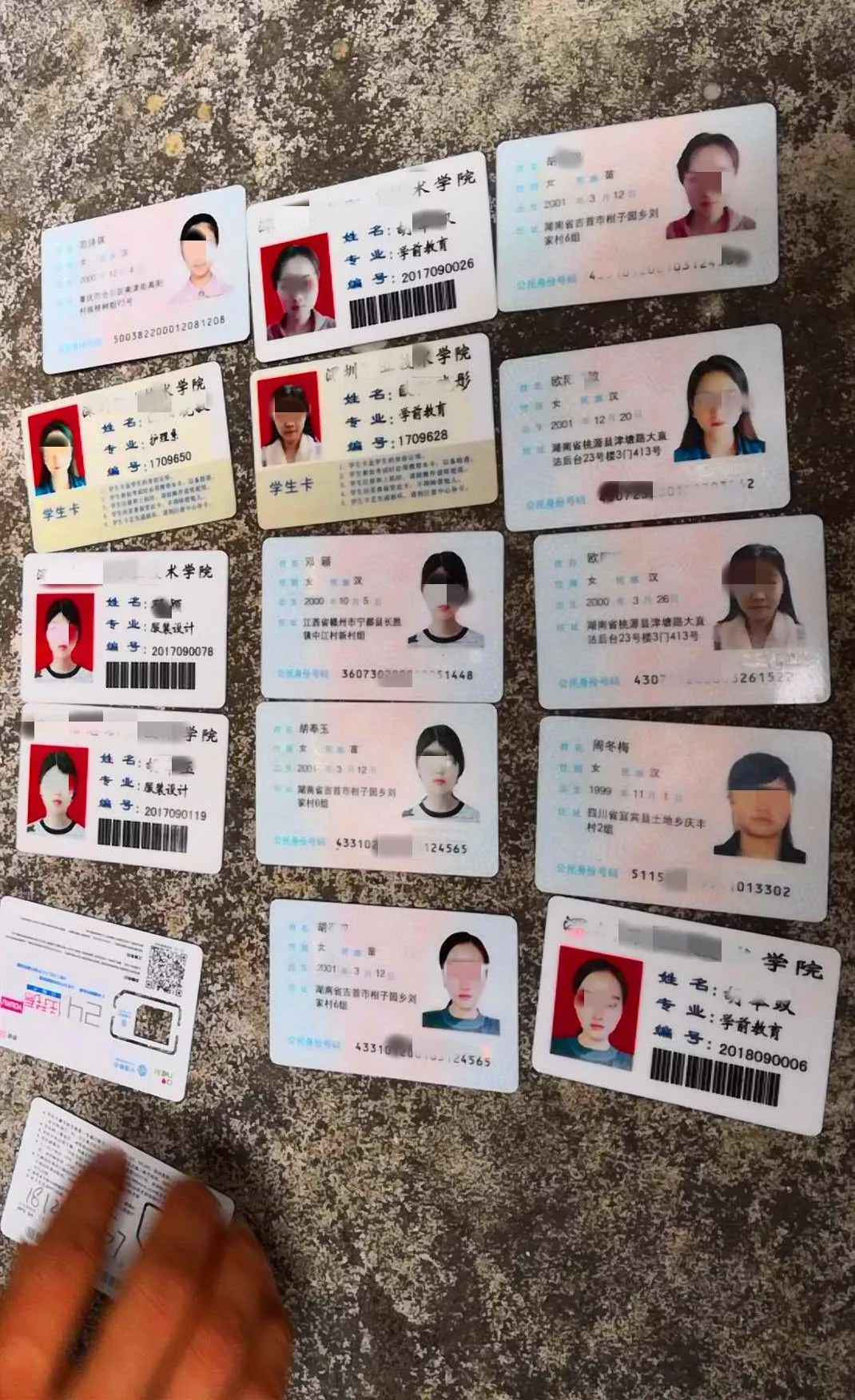 鸽子血骗局揭秘,鸽子血卖淫案