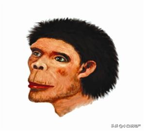 十堰武当山有哪些风景区,湖北十堰有武当山吗