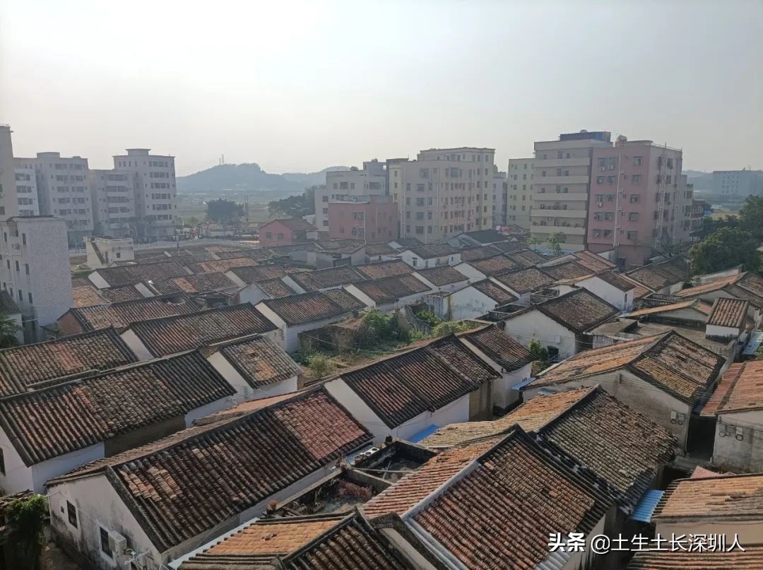 三围、四和、五联、六约，深圳这些有意思的地名是怎么来的