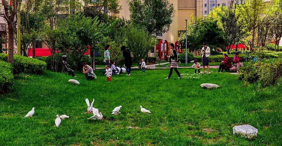 五洲观澜四期最新消息,运城五洲观澜最新消息