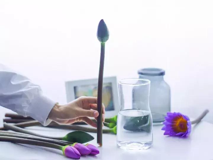 花店不会告诉你的秘密,花店不想告诉你的养花秘密