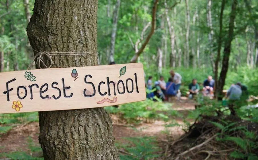 春日自然教育,春日茶语正能量