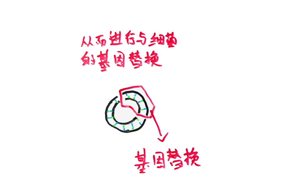 如果基因被破解会有什么后果,人类基因被破解的危害