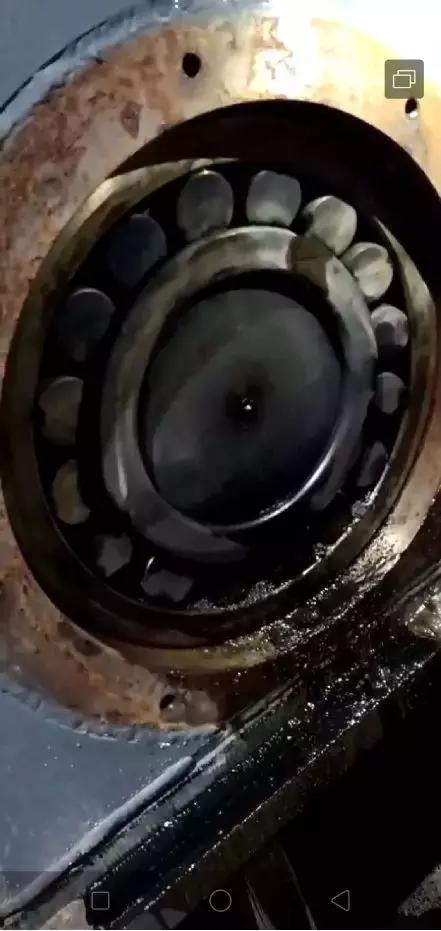 鐑熷彴椴佸畤鐜繚浜嬩欢,灞变笢铏氬亣瀹ｄ紶琚綒