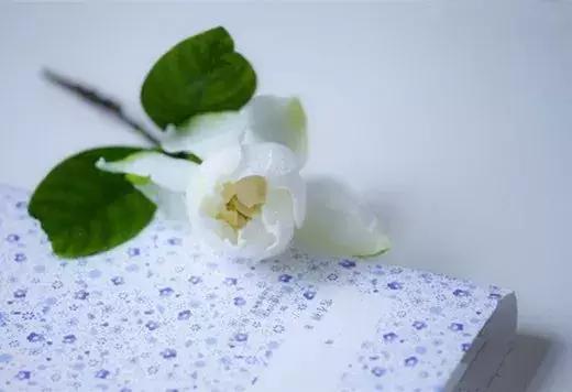 刁问妙答！（绝妙）