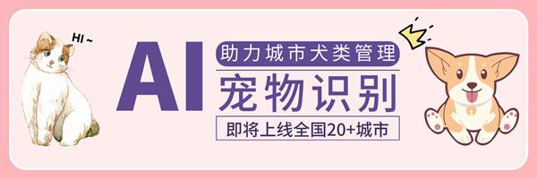 宠物ai识别有什么用途,宠物识别程序有哪些