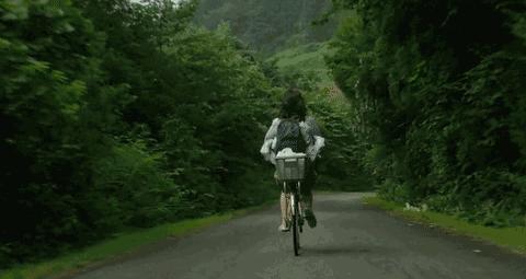 季节好词好句好段,关于季节的好词好句大全