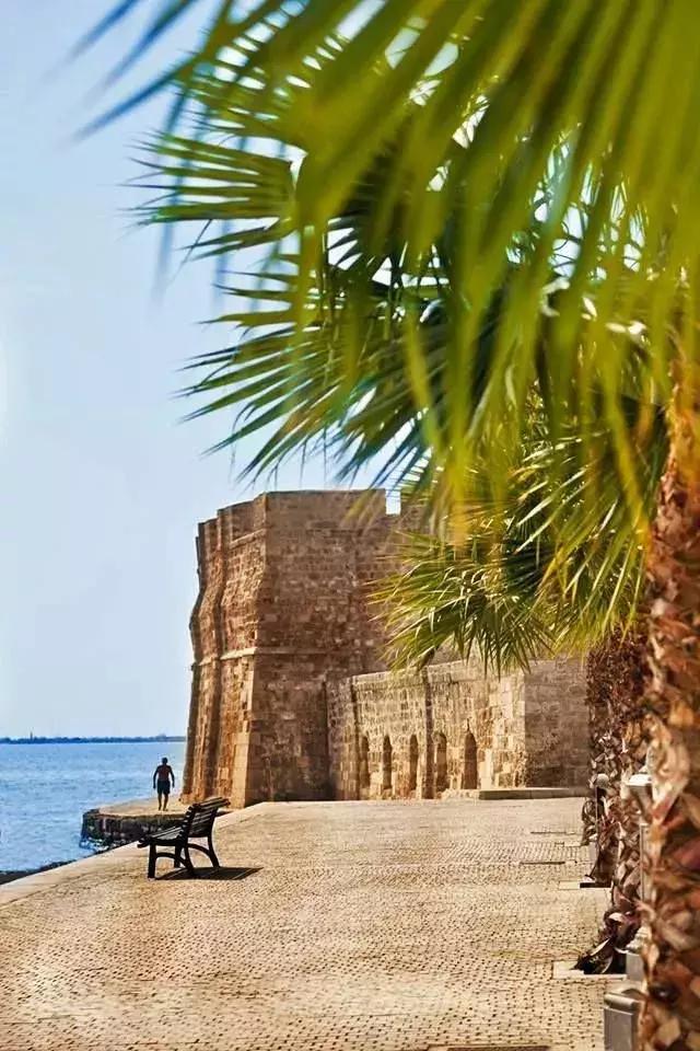 大航海之路爱神之岛塞浦路斯位置,塞浦路斯爱神之岛葡萄酒