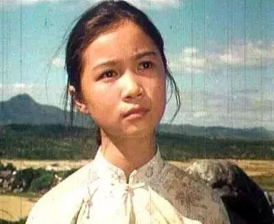 杨紫张子枫北京,杨紫张子枫的年龄差