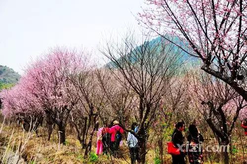 惠州龙门十大森林小镇,惠州南粤大氧旅游