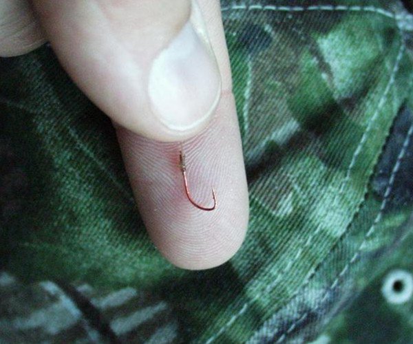 钓鱼渔获总是不如别人怎么回事，总结了六招给大家