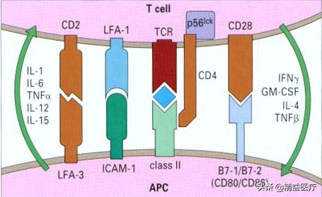 我喜欢的小哥哥身上有一股奶香味,后来不喜欢他了,奶香味就消失了
