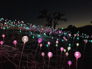 苹果年度最佳照片,iphone拍出来的照片有多惊艳