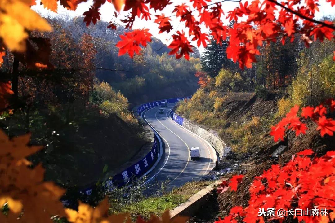 延边改革开放40周年变迁,延吉改革开放变化