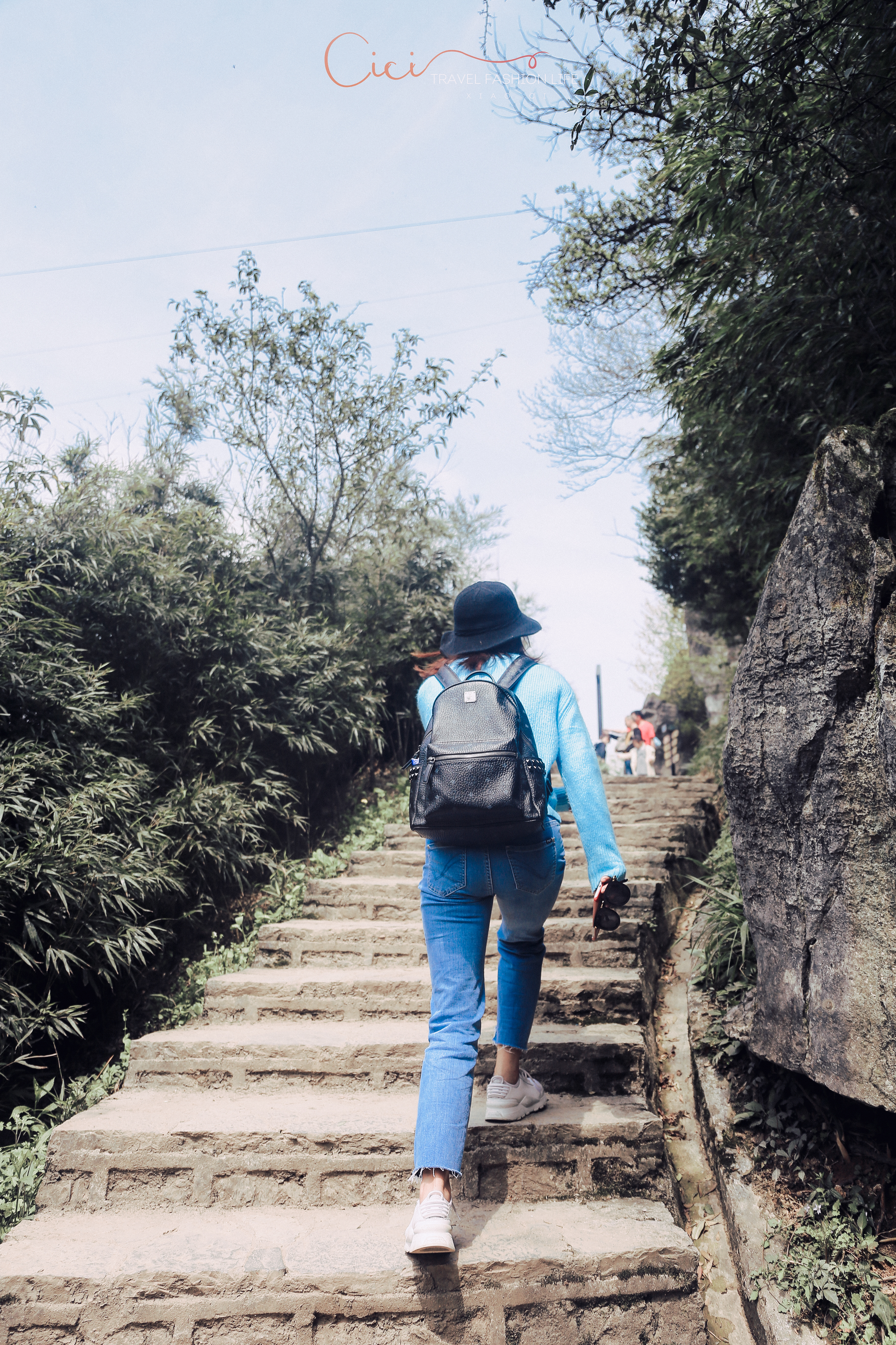 不可思议的奥陶纪