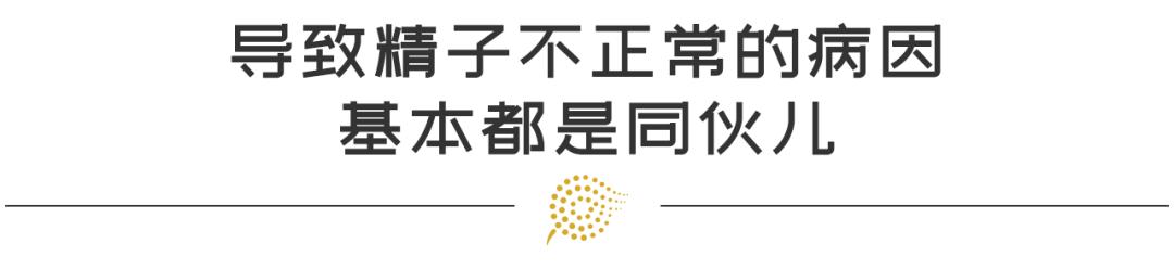 年龄大弱精少精怎么治疗最好,少精弱精无精和畸形率有关吗