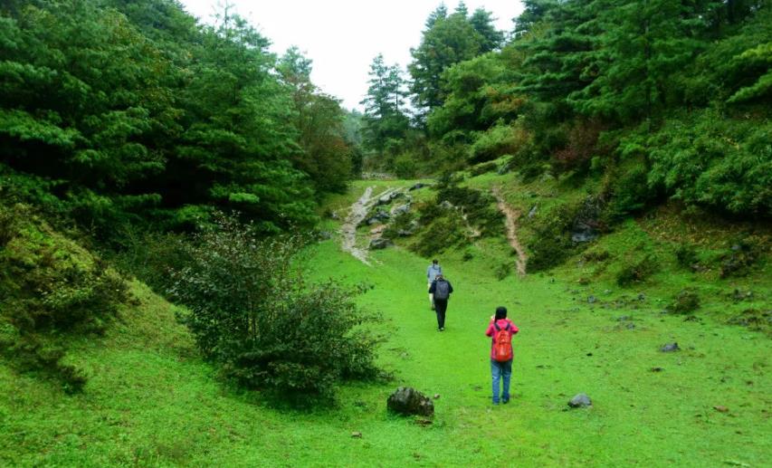 六月回忆童年,六月回忆母校