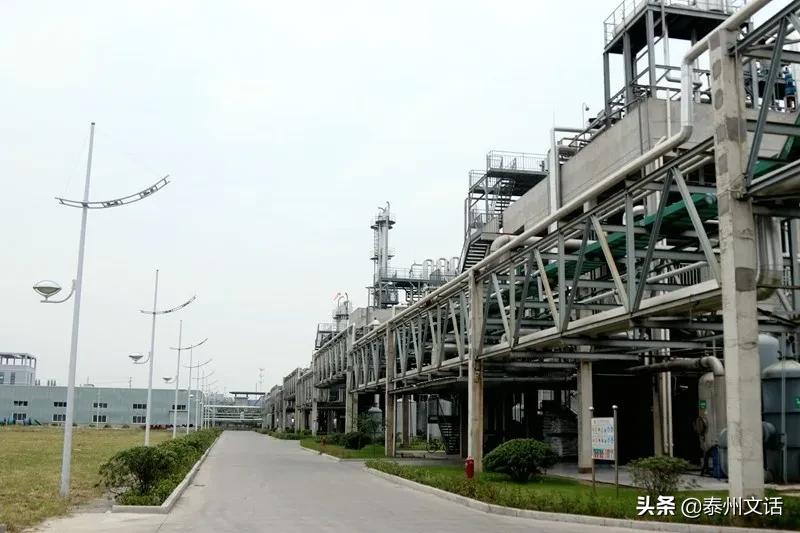 泰兴受表彰的十强企业,泰兴市工业50强