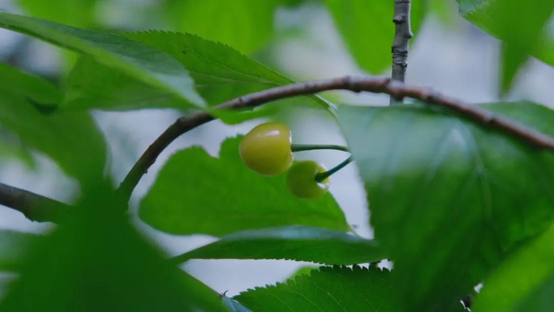 90后学霸创业6年融资近亿,90后学霸创业