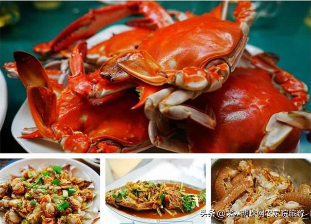 日照直播,日照索隆