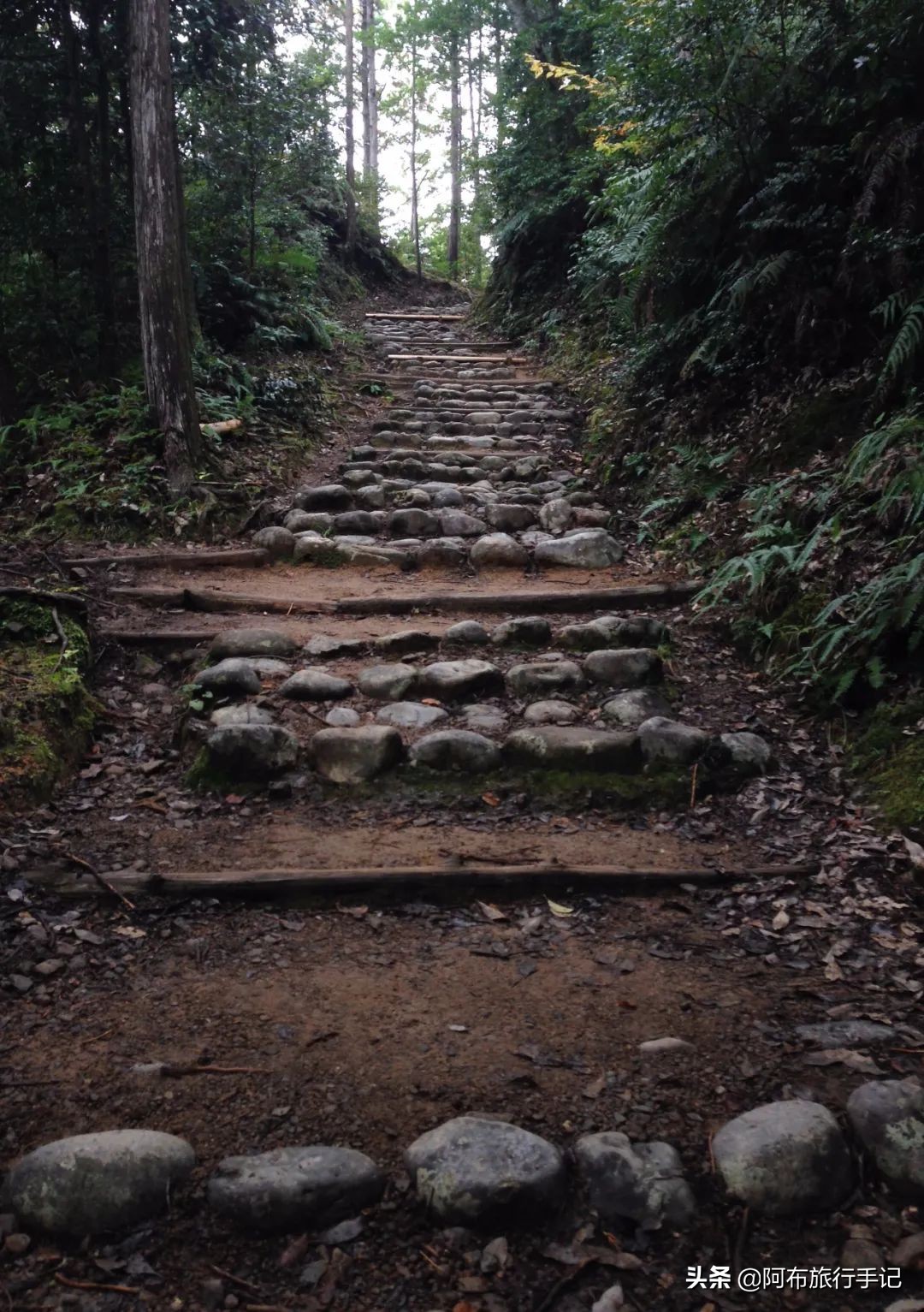 日本熊野古道拍摄,摄影师镜头下的景区