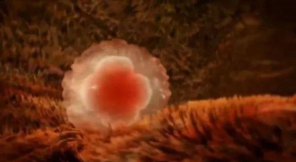 孕早期阴超后出血,孕早期胎盘低出血