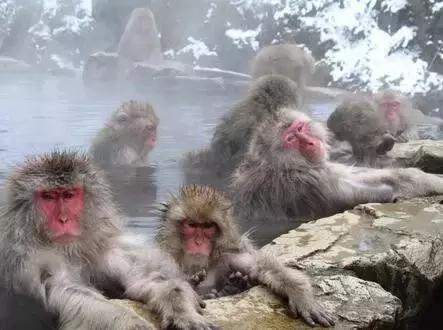 安徽省最全温泉地图请拿好！为您揭露免费泡汤的秘密！