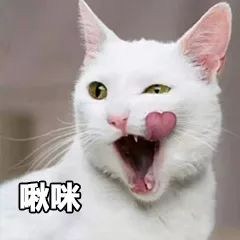 超级沙漠大干皮用什么护肤品,50岁女性沙漠大干皮适合的护肤品