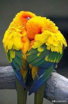 今天3月10，我的妈呀！谁编的，太好笑了，给群里乐一乐