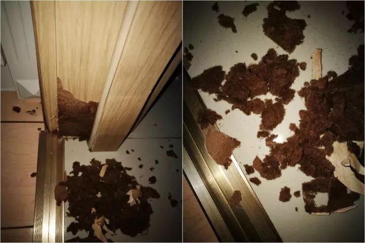 样板房和新房价格一样,样板房装修比房子贵