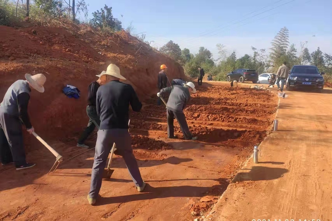 湖南岳阳汨罗出土青铜器,汨罗青铜器