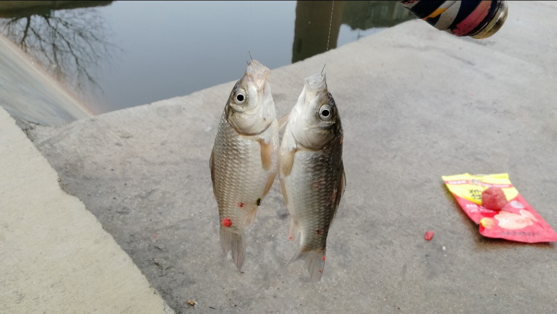 下雨天钓鱼鱼口小怎么办,下雨天怎样钓鱼比较好钓