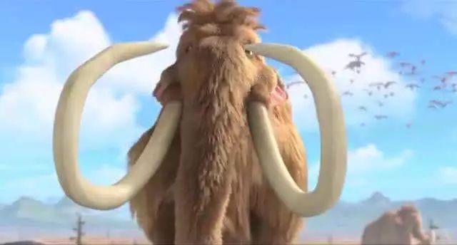 现在的熊出没大过年在哪里看,新年必看的熊出没