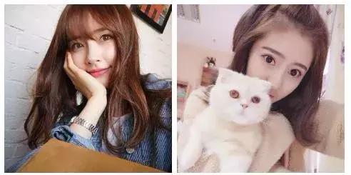 淘宝便宜网红店铺,淘宝网红店铺阿里货源