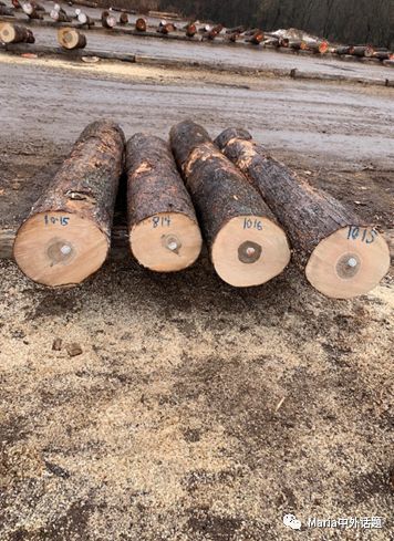 美国硬木干货价格,北美硬木排行