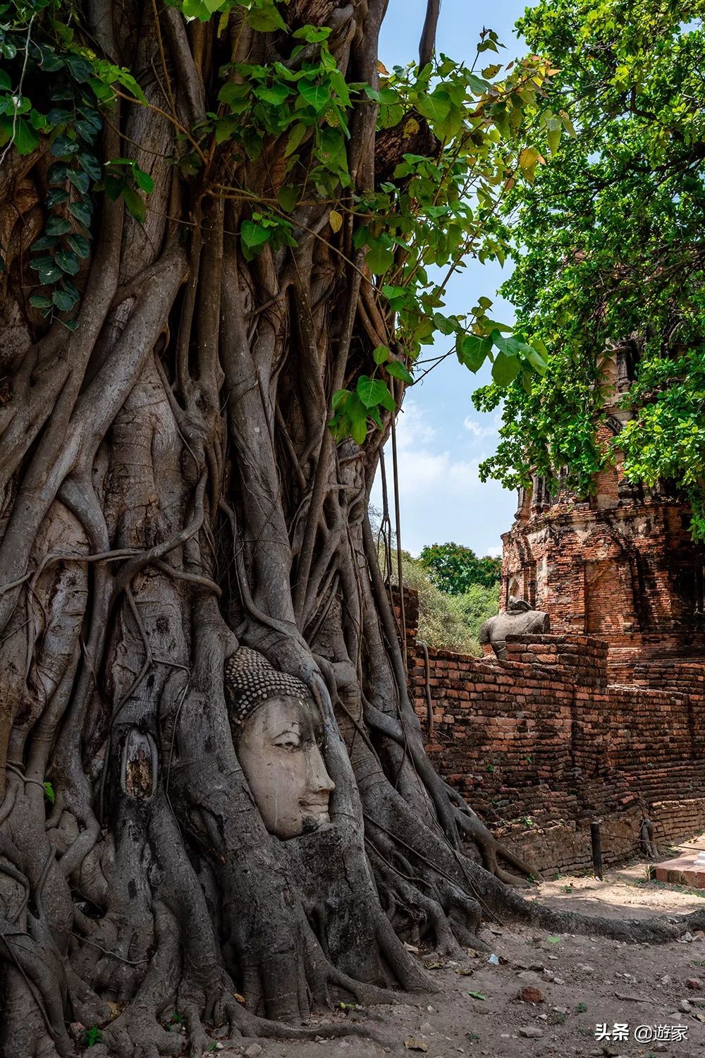 泰国王室服饰,泰国王室文化服