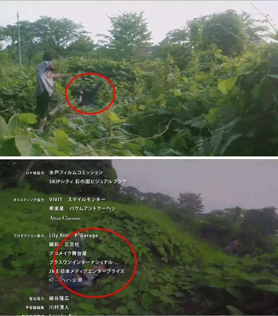 票房黑马八天突破13亿,2019票房黑马