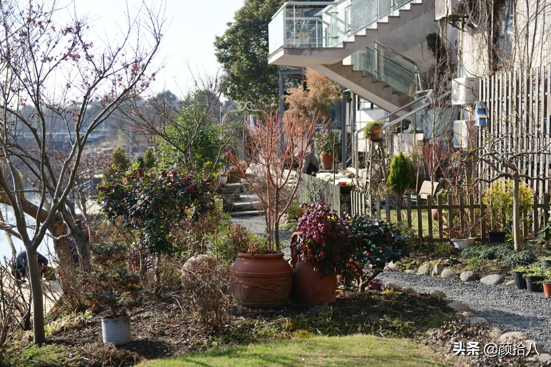 就趁现在，花园最忙碌的季节|园丁