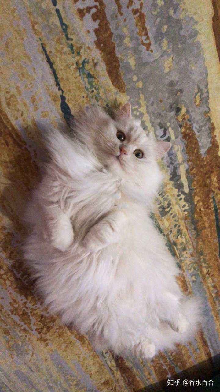 买了高层的人怎么样了,买了顶楼的房子后悔了吗