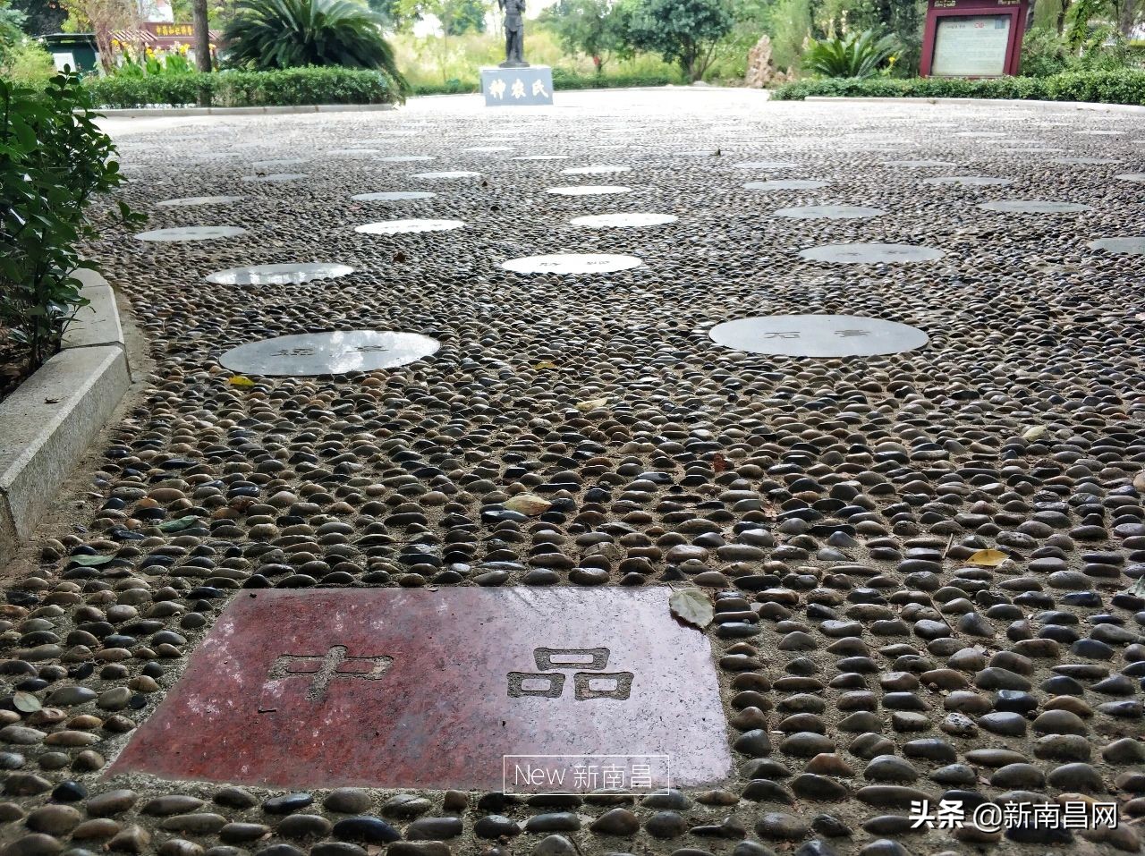 江西中医药大学回忆,现在的江西中医药大学